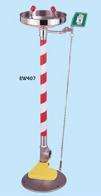 EW 407